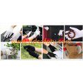 Luvas de jardinagem White Polka DOT Glove Dcd201